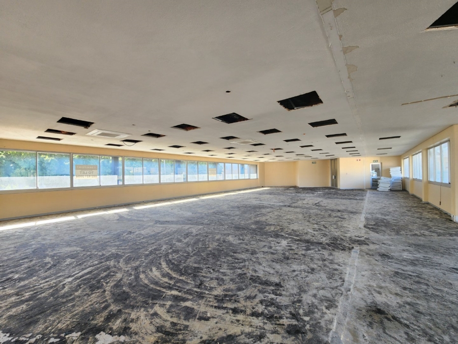Commercial Property for Sale in Van Ryneveld Western Cape